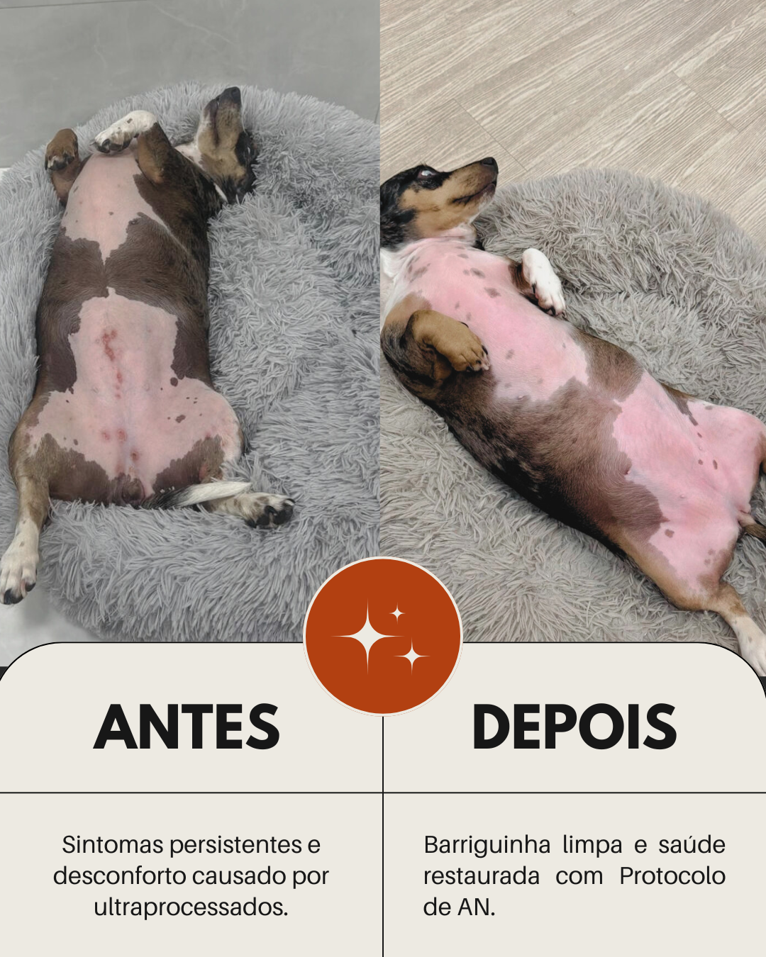 Zoe Antes e Depois